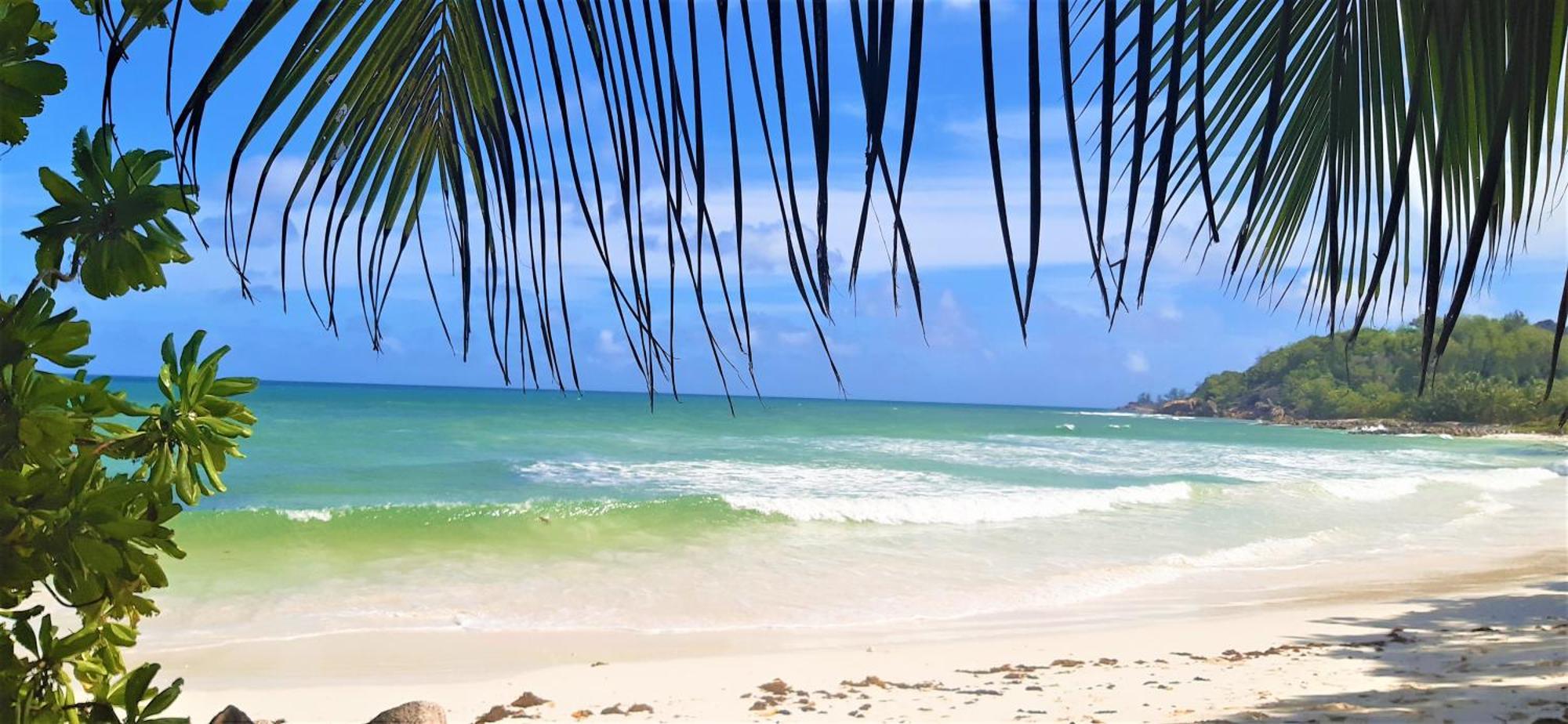 The Islander Hotel Grand Anse (Praslin) Exterior foto